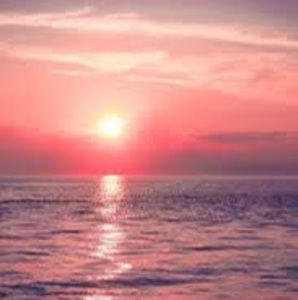 Meet your Posher, Annette